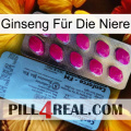 Ginseng Für Die Niere 35
